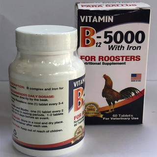B12 5000 giup gà len nuoc mau - hủ 60 viên