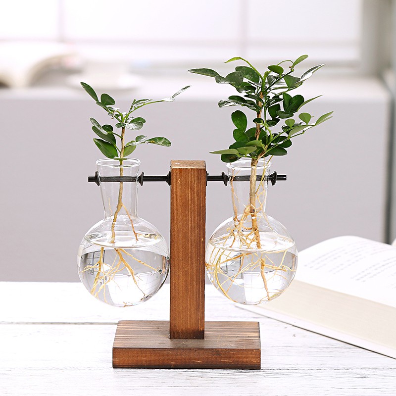 Bình trồng cây thủy canh trong suốt kèm khung gỗ trang trí nội thất phong cách cổ điển