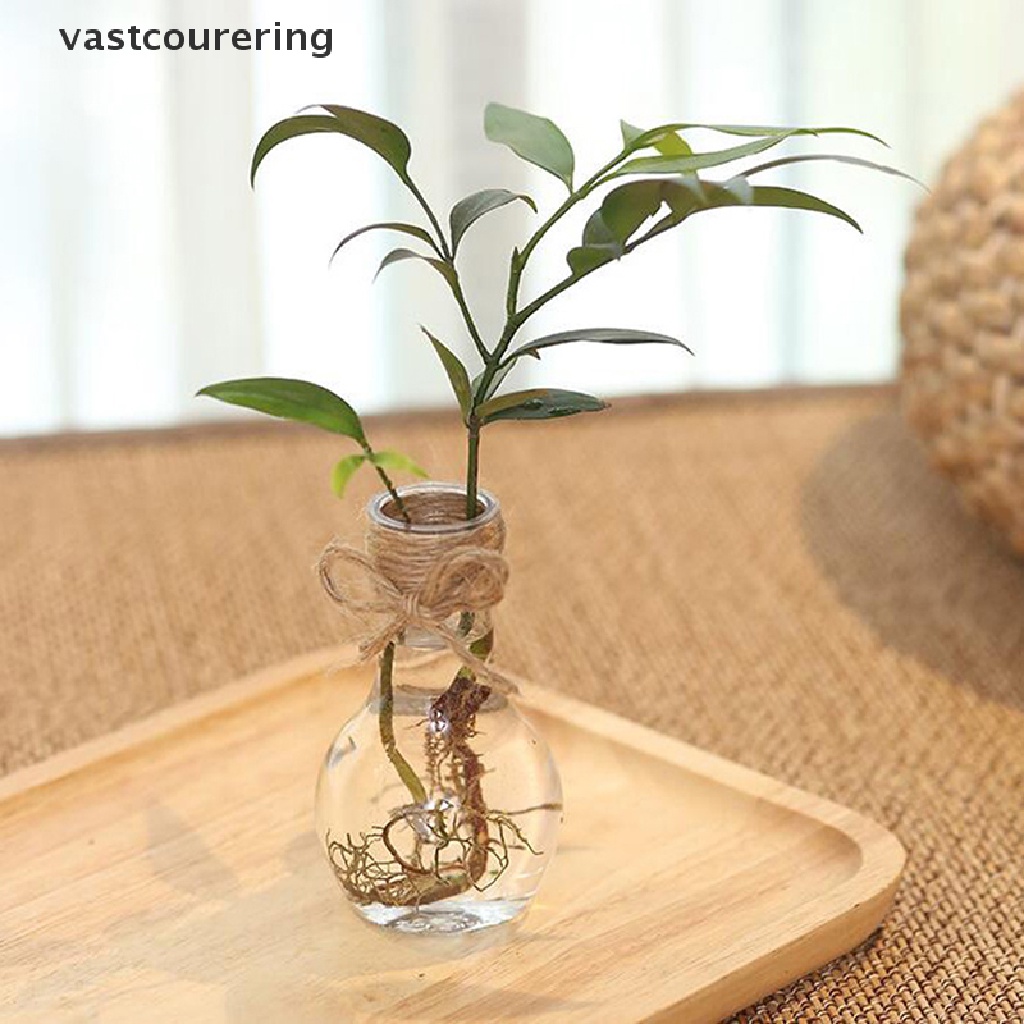 Chậu Hoa Thủy Canh Bằng Nhựa Trong Suốt Thiết Kế Đơn Giản