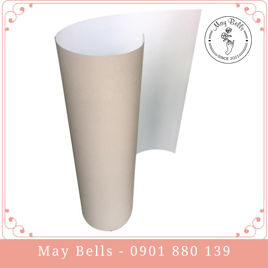 Giấy roki A0 - Giấy báo tường