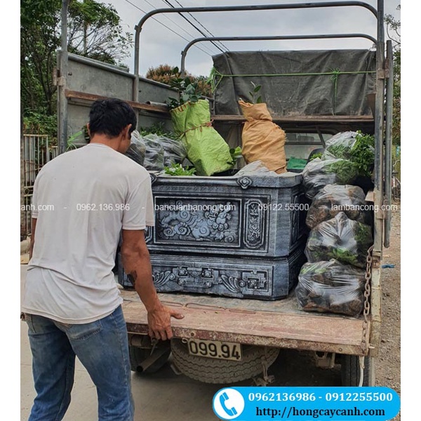 Bể Xi Măng Họa Tiết Hình Chữ Nhật II Bể Trồng Cây, Nuôi Cá