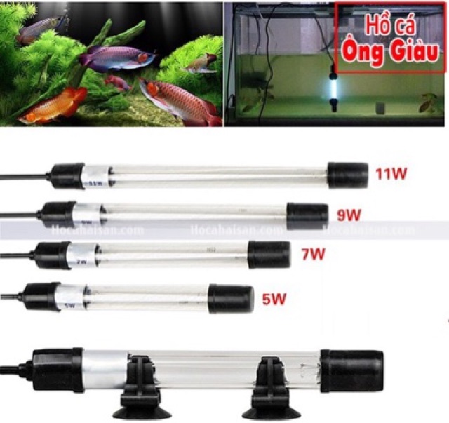 Đèn UV Đủ Size Diệt Tảo Diệt Khuẩn Cho Bể Cá Sterilization King (Hàng Công Ty)