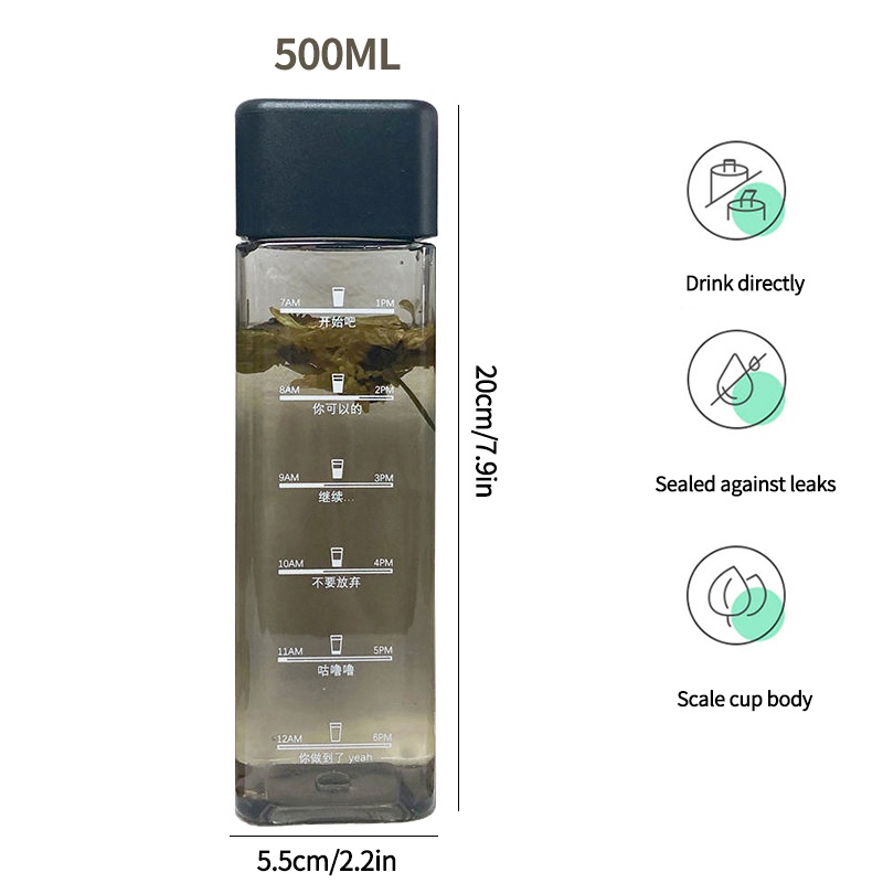 Bình Nước 500ml Cỡ Lớn Thiết Kế Đơn Giản Dễ Thương