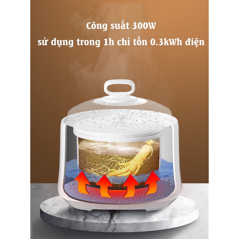 Nồi Nấu Chậm RULAX-Wifer Dung Tích 3L, Tặng Kèm 4 Thố Nhỏ Bảo Hành 6 Tháng