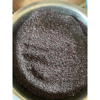 Gạo lứt tím Sóc Trăng