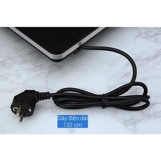 BẾP TỪ ĐƠN #RAPIDO RI2000ES