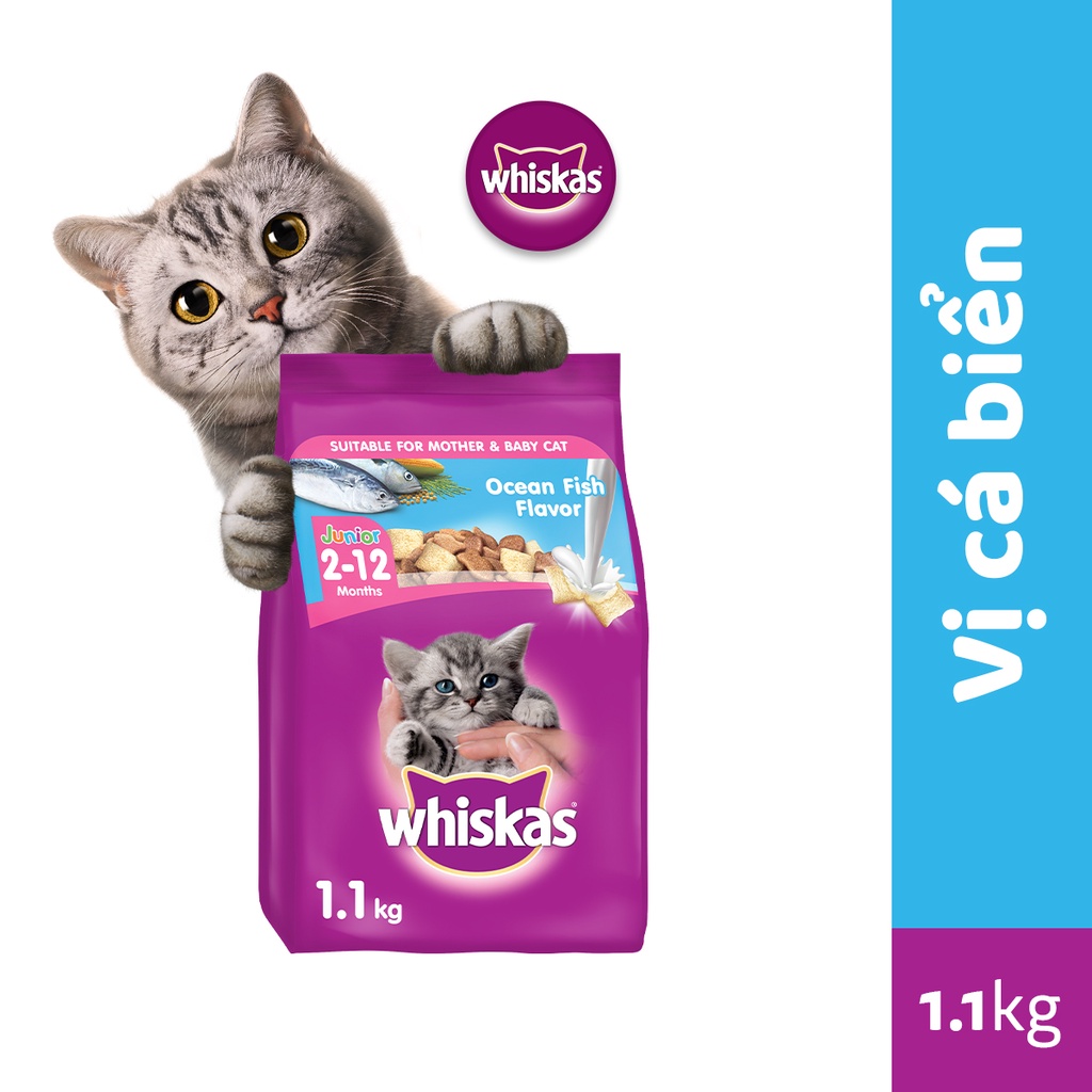 WHISKAS® Bộ thức ăn cho mèo con dạng hạt vị cá biển với sữa 1.1kg + dạng sốt vị cá ngừ 80g (6 gói)