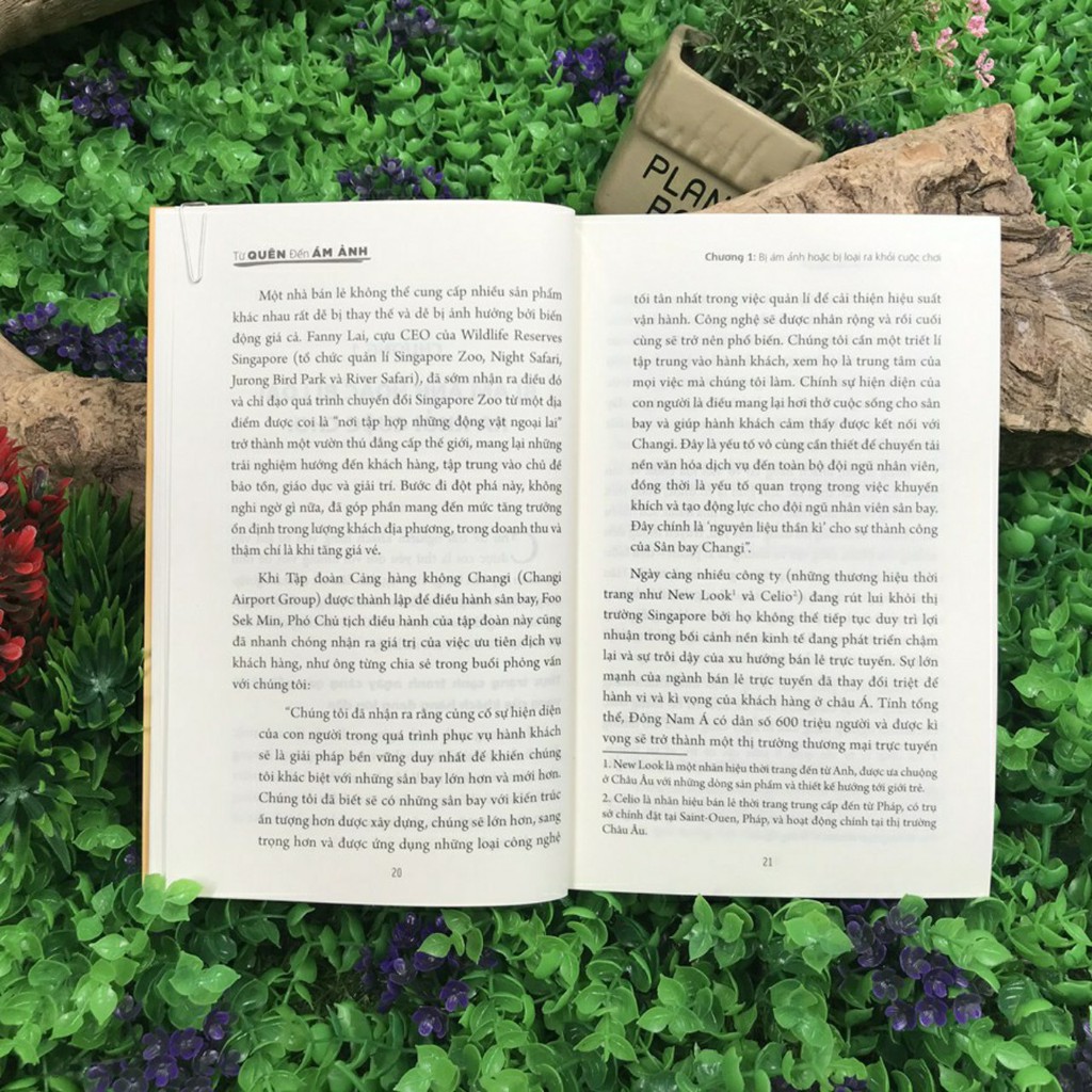 Sách: Từ Quên Đến Ám Ảnh