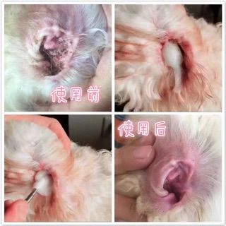Nước rửa tai chó mèo