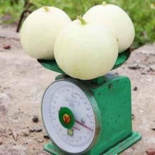DƯA LÊ TRẮNG SIÊU NGỌT THÁI LAN
