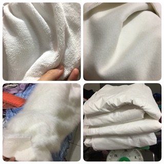 Vải lông cừu trắng, dạ ép lỳ, lông dài, gió lót