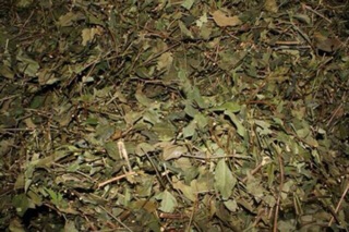 1kg chè vằng lá sẻ