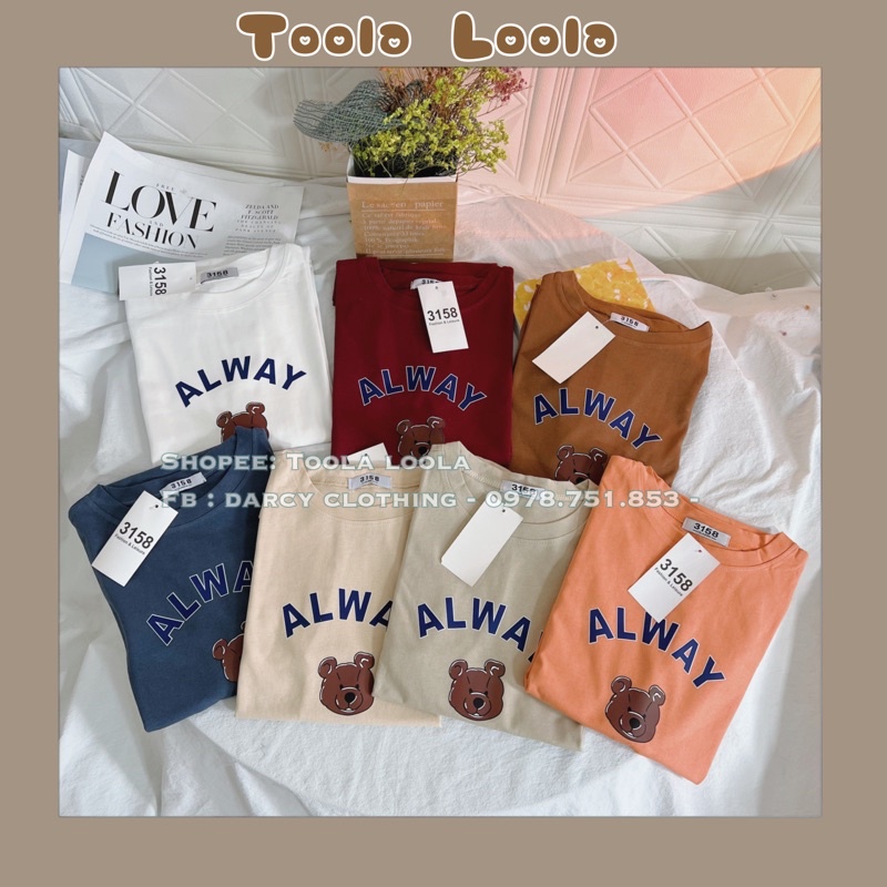 Áo thun 3158 ✨ FREESHIP ✨ áo thun Gấu alway dễ thương áo phông cotton nam nữ