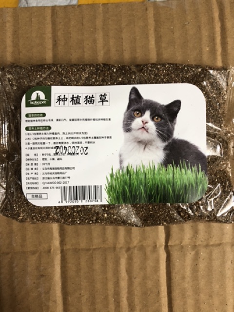 Bộ kit trồng cỏ mèo Chiscat