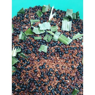 [500g] Trà đậu gạo lứt lá dứa .td