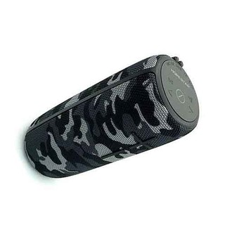 Loa bluetooth HopeStar P21