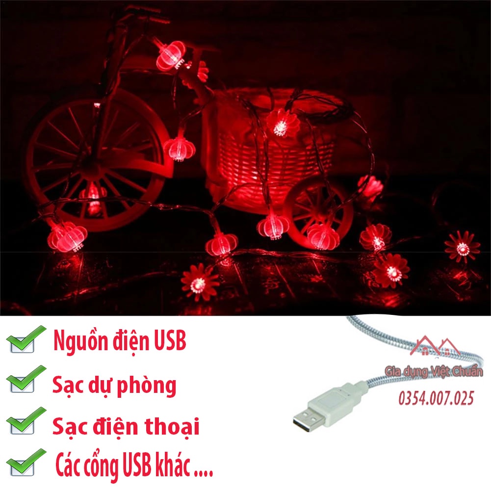 dây đèn trang trí tết, cây quất, đào, giáng sinh, decor phòng, dùng sạc điện thoại USB, sạc dự phòng, đèn lồng