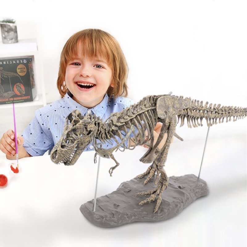 DIY mô hình xương khủng long tự ghép và tô màu