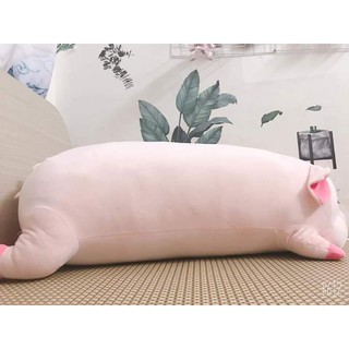 GẤU BÔNG HEO LƯỜI CAO CẤP