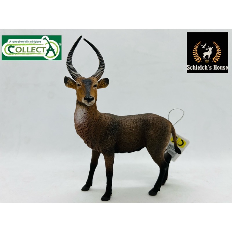 Mô hình động vật , đồ chơi con vật CollectA chính hãng Linh dương nước Waterbuck 88562 - Schleich House