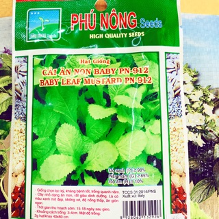 Hạt giống cải ăn non baby