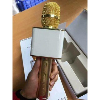 MIC YS 11 KÈM LOA