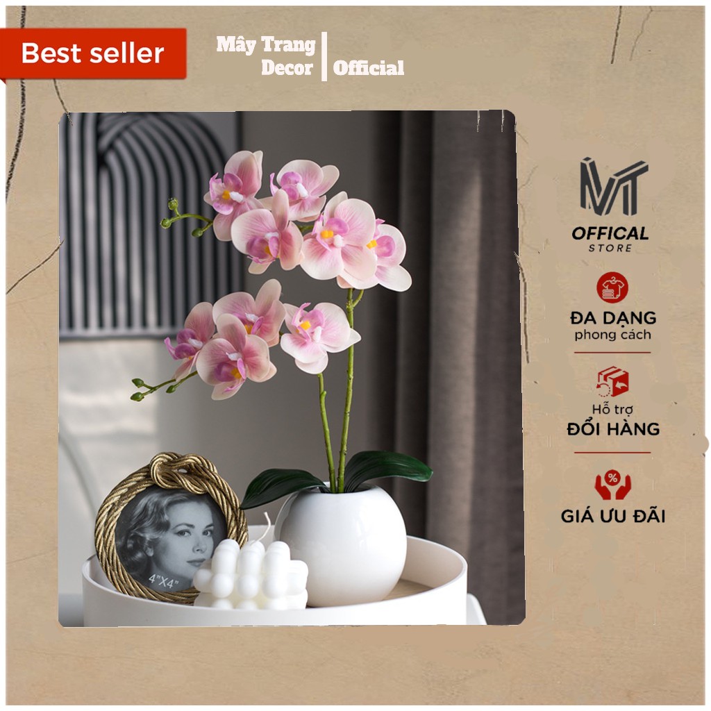 Hoa giả ️❤️ Hoa Lan Hồ Điệp PU cao cấp ️❤️ Hoa Decor trang trí nhà ở - Decor Mây Trang