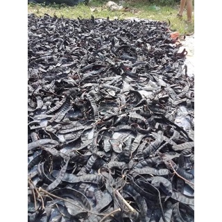 500g bồ kết ta phơi khô