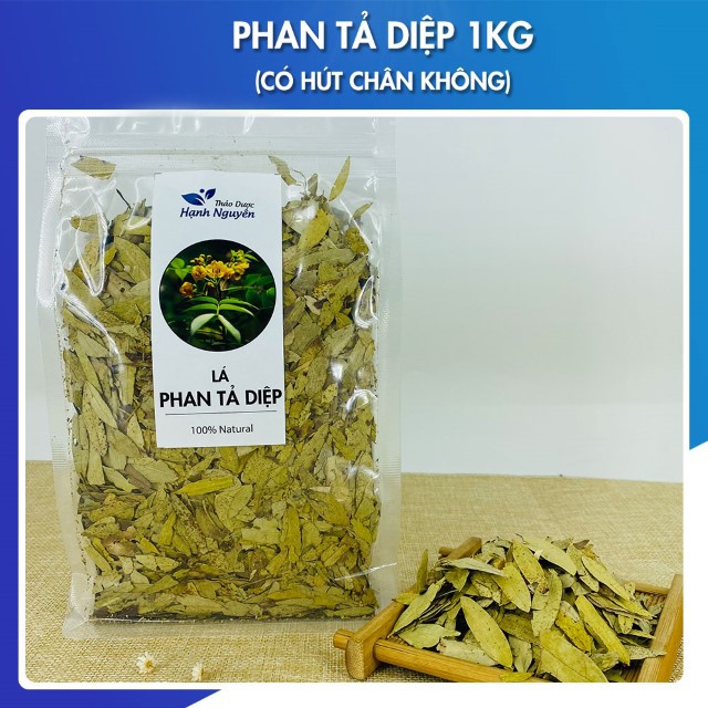 1kg Lá Phan Tả Diệp (Hàng Sạch, Đẹp)