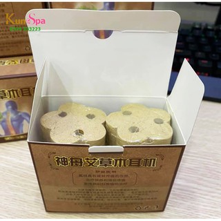 Viên Ngải Cứu Khô