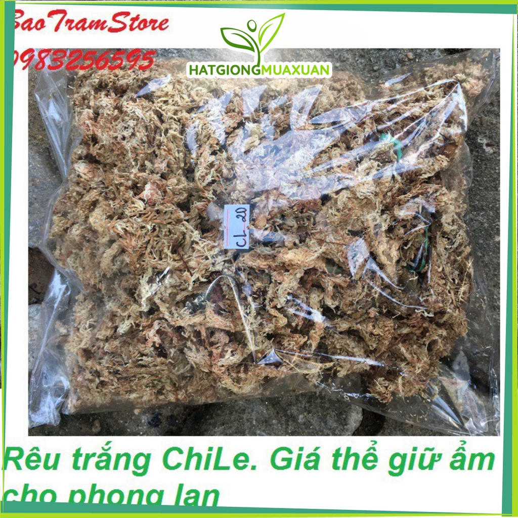 [SIEURE] Rêu trắng ChiLe - Giá thể giữ ẩm tuyệt vời cho phong lan, gói 100g hàng đẹp, phân phối chuyên nghiệp.