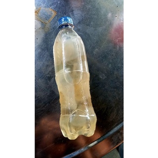 Giấm nuôi 500 ml.có con giấm to,chất lượng thơm ngon