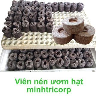 100 Viên Nén Ươm Hạt [Tặng Hạt Giống]