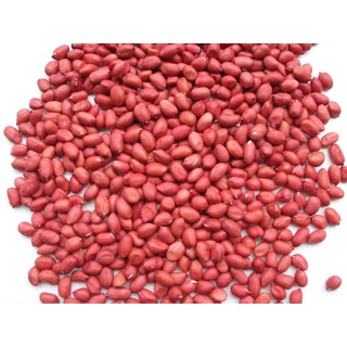 Lạc Đỏ VN-RED PEANUTS G500gr