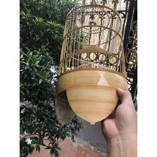 Lồng khuyên Dừa - Tách chỉ
