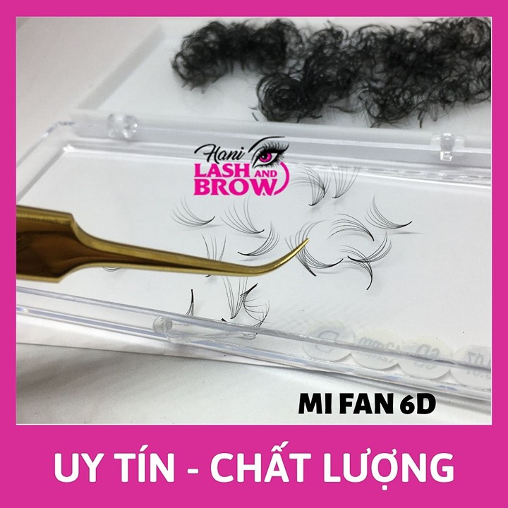 Mi Fan 6D LMFT Hani Chân Keo Nhỏ - Lông Mi Fan Tay Sẵn