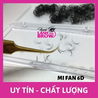 Mi Fan 6D LMFT Hani Chân Keo Nhỏ - Lông Mi Fan Tay Sẵn