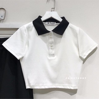 ÁO THUN CROPTOP PETTER PHỐI CỔ🥖