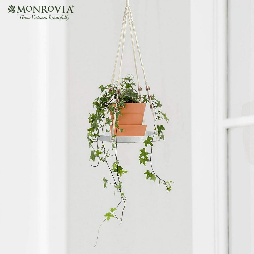 Set dây treo Macrame kèm đĩa đựng chậu MONROVIA, decor trong nhà, sân vườn, ban công, đan thủ công tỉ mỉ từ sợi cotton