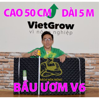 Bầu ươm V6 cao 50cm dài 5m, dầy 0.7mm, sản phẩm tặng kèm đinh ốc