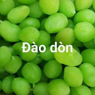 Đào xanh giòn vị chua ngọt chuẩn vịĐà Lạt [ y hình  ]