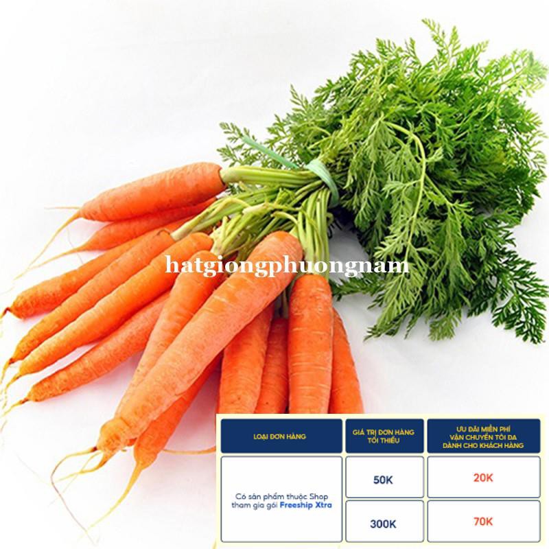 3GR - HẠT GIỐNG CÀ RỐT F1