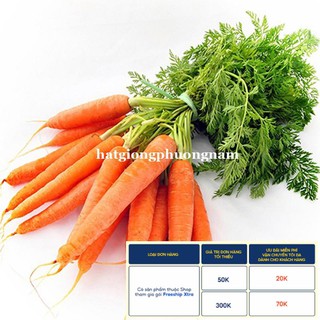 3GR - HẠT GIỐNG CÀ RỐT F1