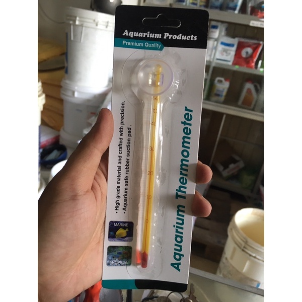 Cây đo nhiệt độ hồ cá kiểng betta , sim thái , rupy , cá phướng , tôm cá