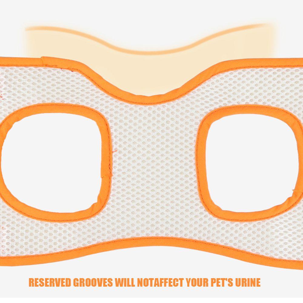 Đai Đeo Chân Hỗ Trợ Nâng Thú Cưng Tiện Dụng Chất Lượng Cao