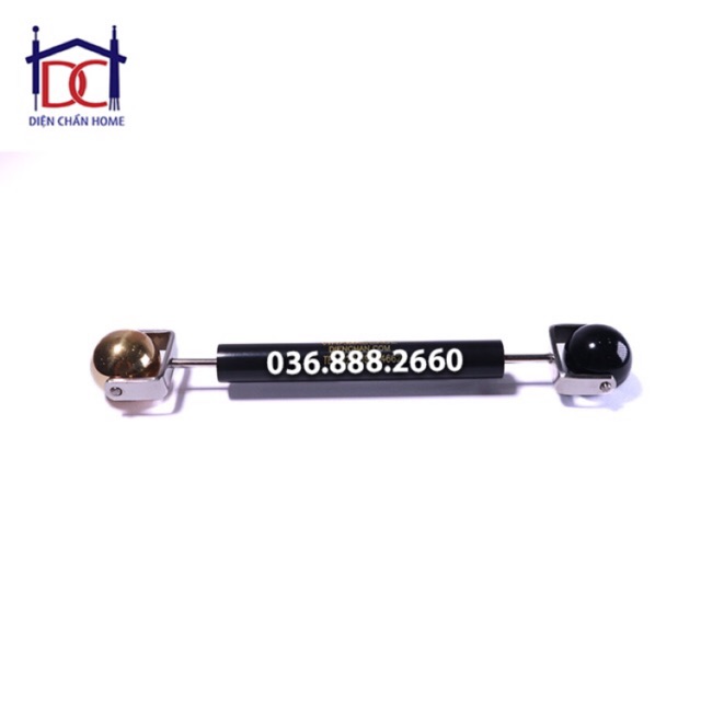 Lăn đồng sừng láng (Lăn mắt hai đầu) diện chẩn