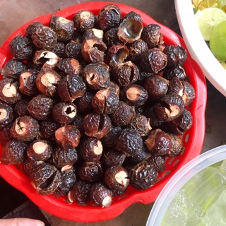 Bồ hòn tách hạt