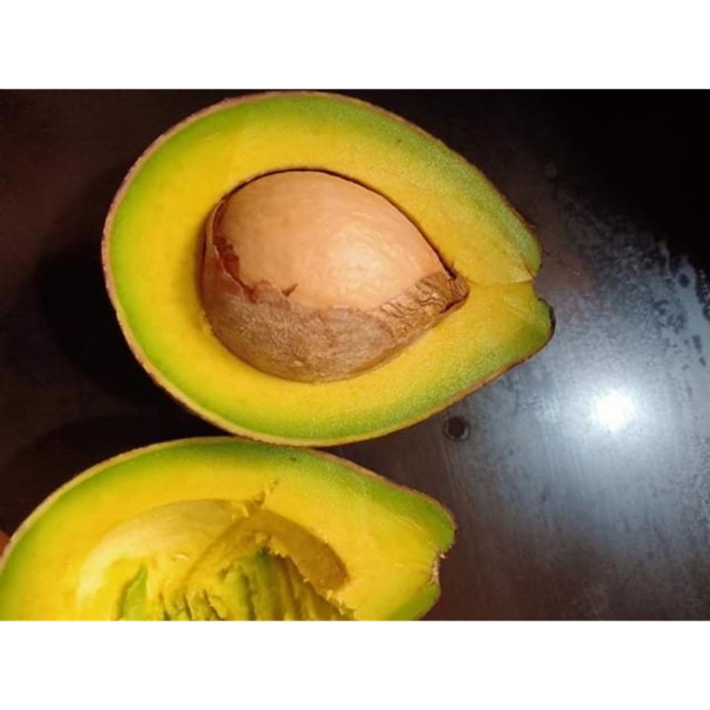 Bơ sáp dẻo