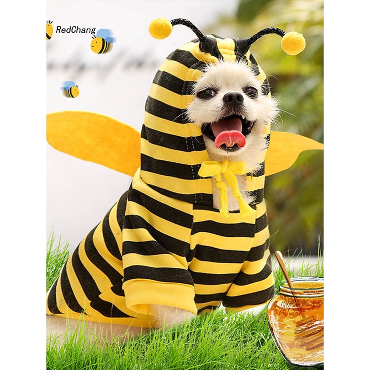 Trang phục hóa trang giáng sinh đáng yêu cho thú cưng