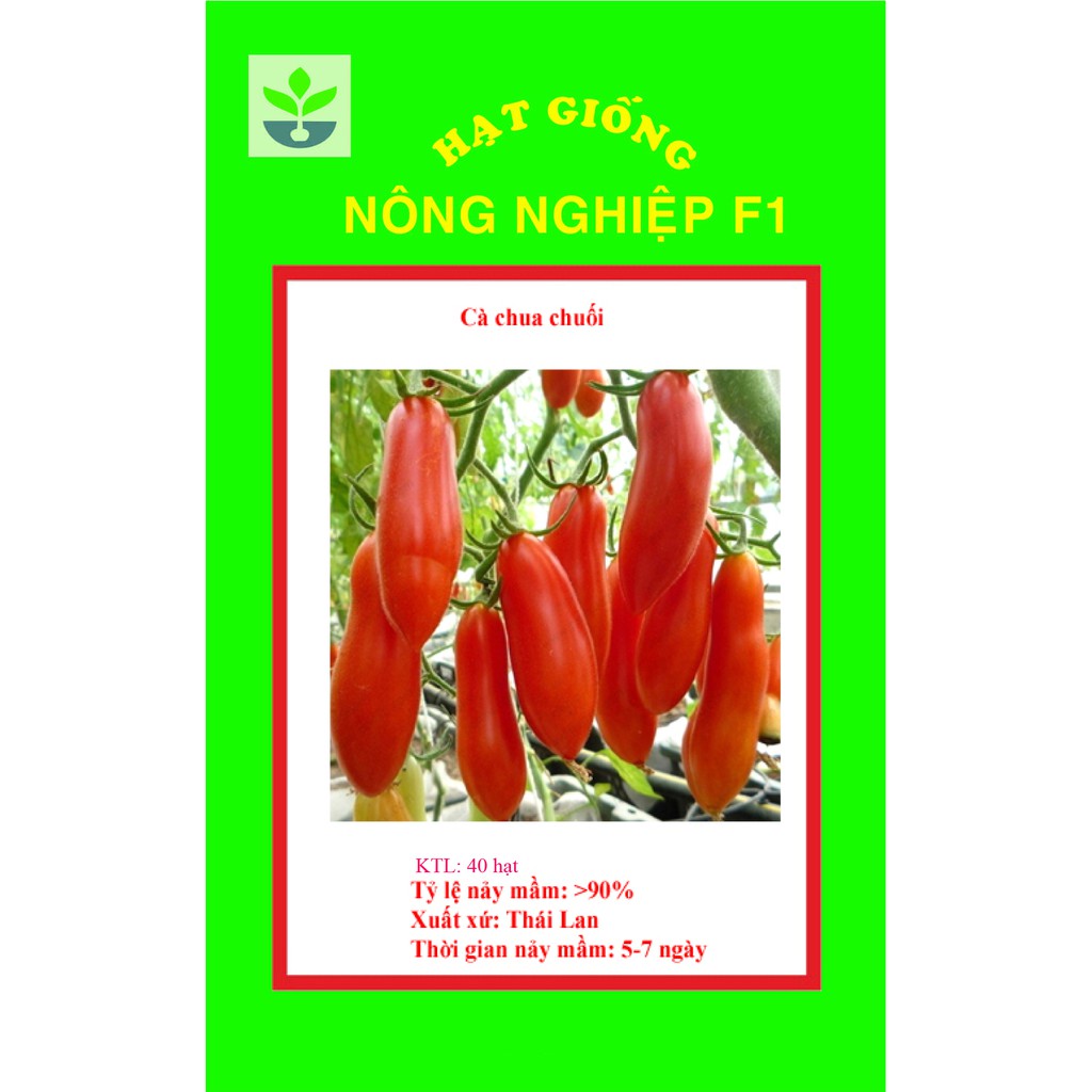 Gói 30 hạt giống cà chua chuối